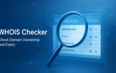WHOIS Checker: Check Domain Ownership and Expiry