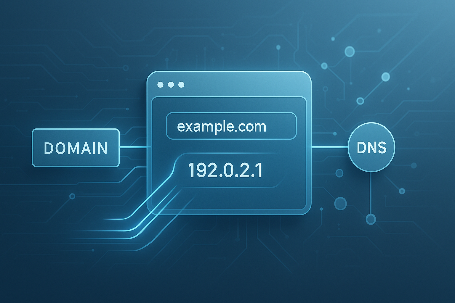 Domain To IP Lookup: Find Any Website's IP Address